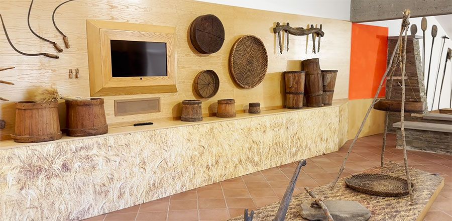 Sala D: particolare attrezzi raccolta e lavorazione grano